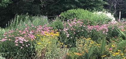 photo: Cathy Caldwell