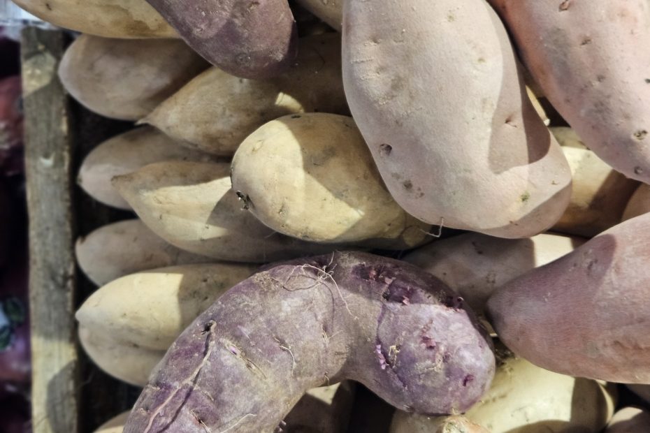 a variety of Sweet potatoes