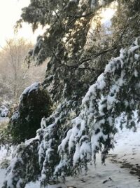 Photo: Cathy Caldwell