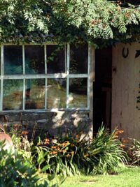 A tan garden shed with a big multi-paned window. The door to the shed is ajar. Branches with green leaves cover the roof and extend out over the eaves. In front of the shed are red flowers and green grass. image credit: Barry Hopkins, https://flic.kr/p/GUZF. CC BY-NC-ND 2.0