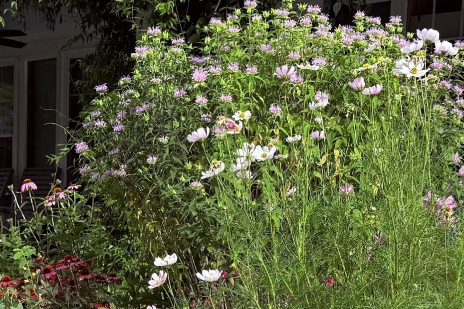 Photo by Cathy Caldwell