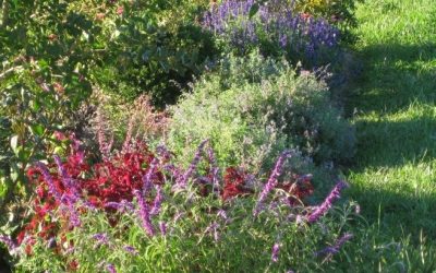 The Ornamental Garden in September