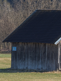 A gray wood barn or shed on a pale green grassy field, with leafless trees in the background. source: https://commons.wikimedia.org/wiki/File:Glanegg_Friedlach_Flatschacher_Stra%C3%9Fe_Schuppen_30032021_0668.jpg, by Johann Jaritz (https://commons.wikimedia.org/wiki/User:Johann_Jaritz) CC BY-SA 4.0 (cropped).