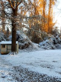 free photo from Pexels. Photo by Debro in North Carolina winter shed