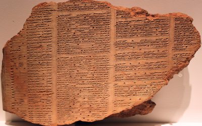 Cultivating Knowledge: Using ChatGPT, Claude, Copilot, Gemini, and Perplexity for Gardening and Everything Else