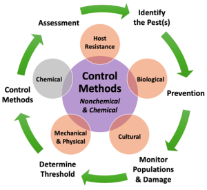 diagram depicting how Integrated Pest Management, or IPM, works. From https://www.pubs.ext.vt.edu/ENTO/ENTO-365/ENTO-365.html