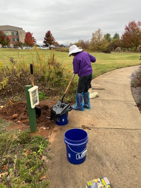 Removing soil from the demonstration garden
