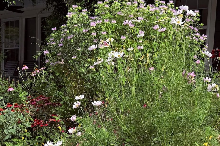 flowering plants