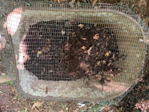 Screening compost. Photo: R Morini