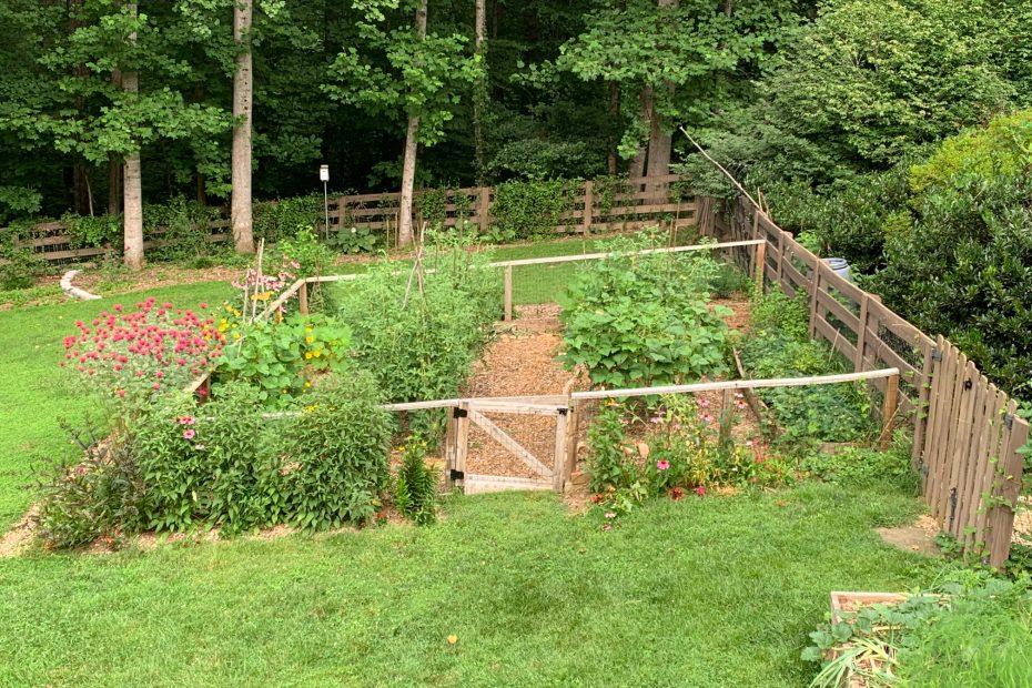 July Edible Garden. Photo: R Morini