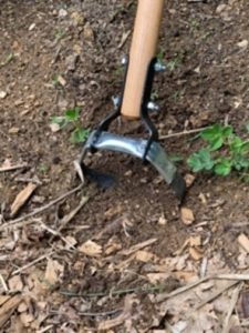 Stirrup hoe weed removal. Photo: R Morini