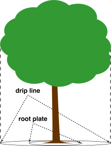 tree mulching diagram showing drip line and root plate