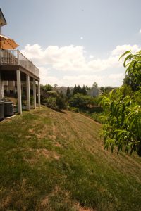 A series of backyards reveals a steep slope and dry, patchy grass.