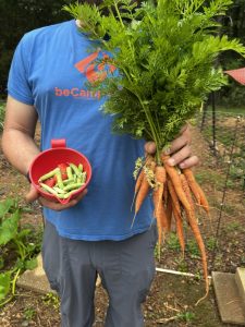 A person holding a bowl of peas and strawberries in one hand, with a bunch of carrots in the other hand.