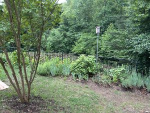 Wrought iron fence and birdhouse behind garden with flowers and shrubs