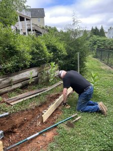 Man building raised beds for growing tomatoes