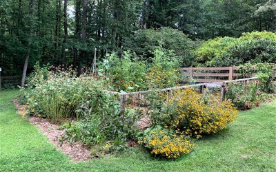 August in the Edible Garden