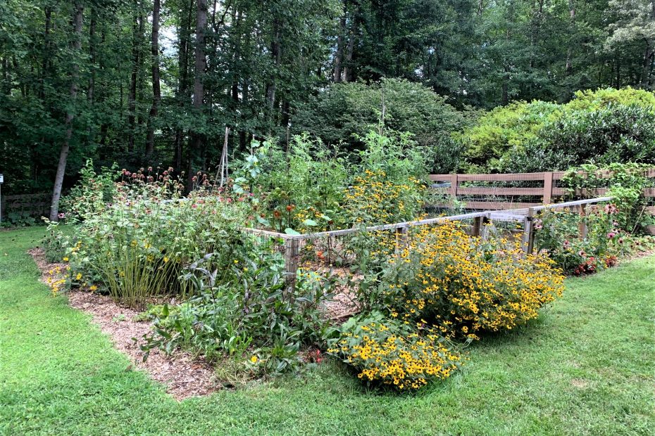 August edible garden