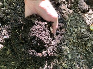 Spring compost after 4 months.