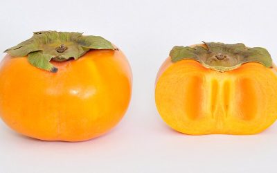 On Persimmons