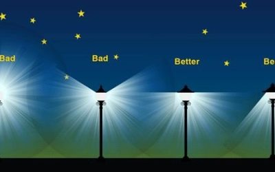 The Environmental Impacts of Light Pollution