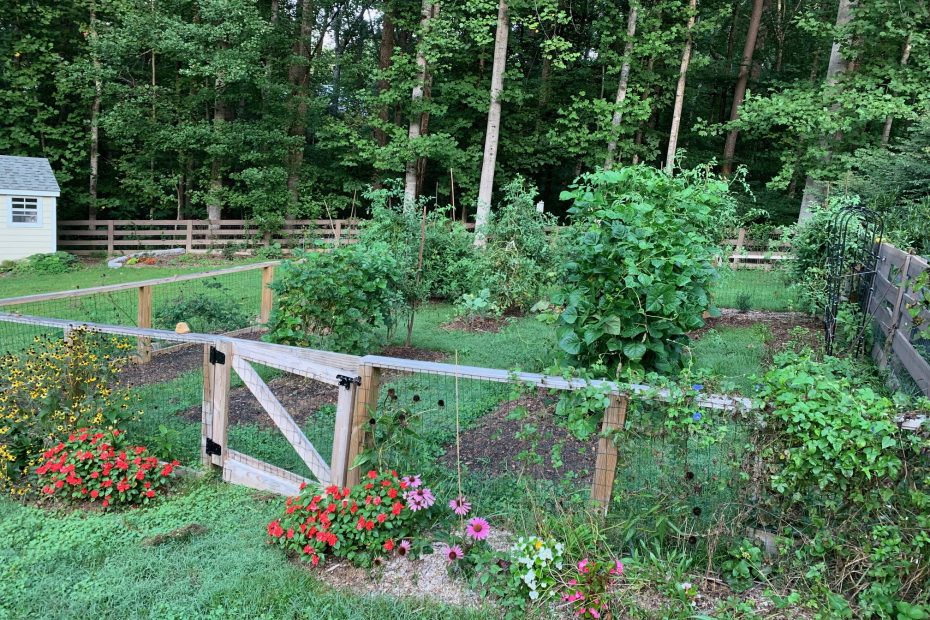 September edible garden. Photo: R Morini