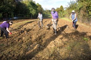 New bed prep at IRC Garden. Photo: R Morini