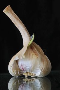 One bulb of garlic with cloves visible.